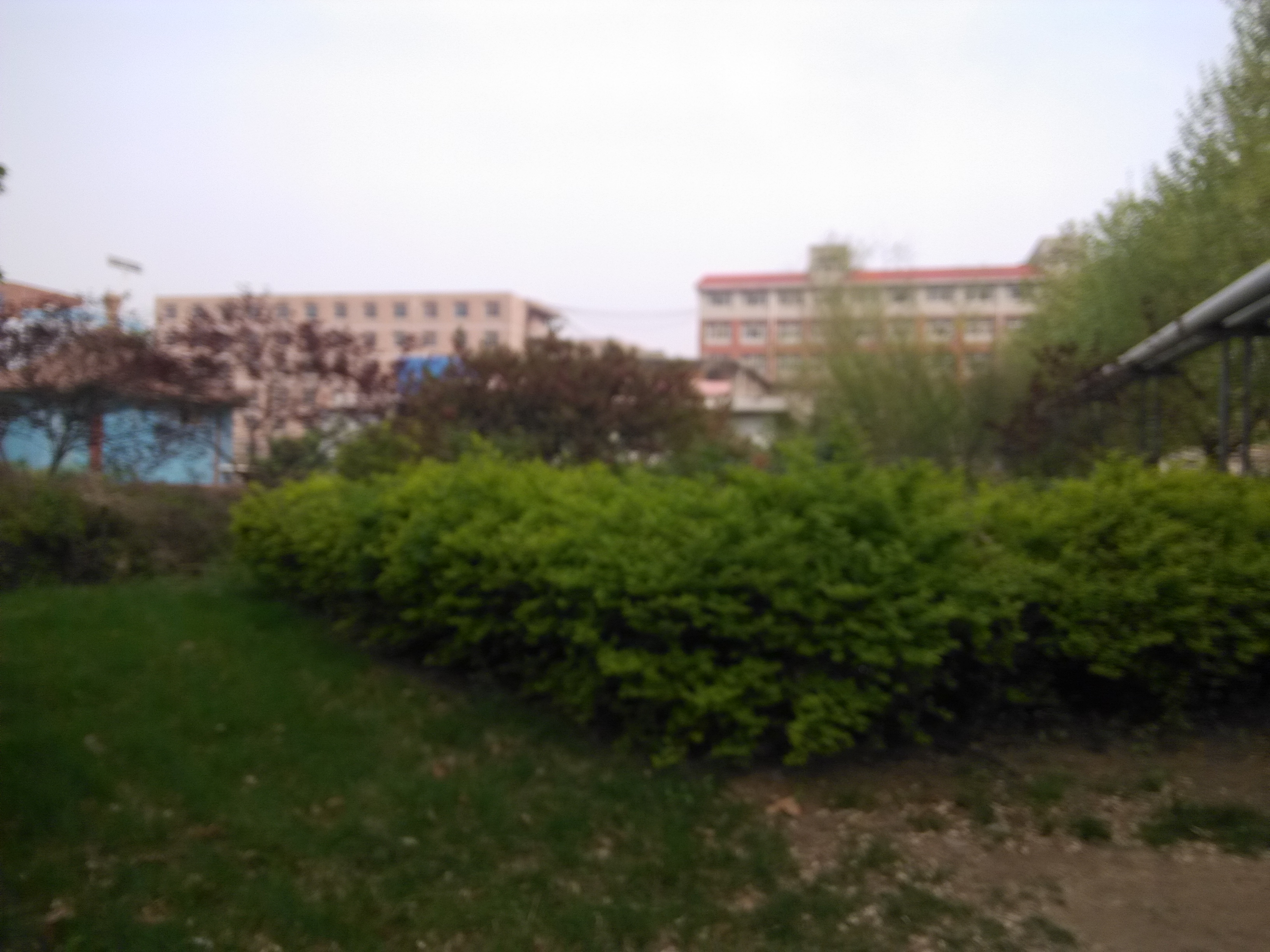 石家莊白求恩醫(yī)學(xué)院校內(nèi)景色抓拍