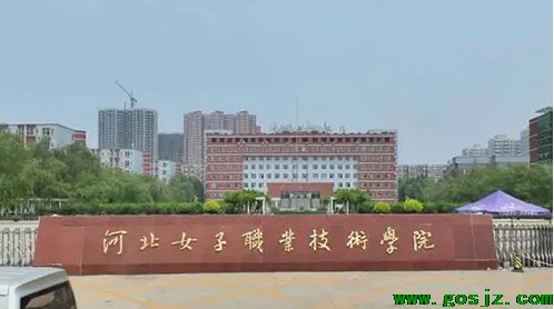 河北女子職業(yè)技術(shù)學院.png